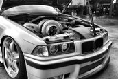 GMC_Nos
