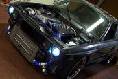 GMC_Nos