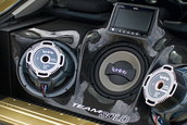 Goana dupa aur: Scion tc