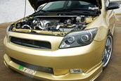 Goana dupa aur: Scion tc