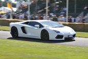 Goodwood Festival of Speed 2011