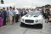Goodwood Festival of Speed