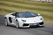 Goodwood Festival of Speed