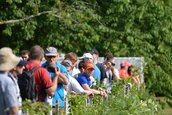 Goodwood Festival of Speed