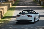 Goodwood Festival of Speed