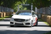 Goodwood Festival of Speed
