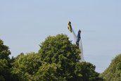 Goodwood Festival of Speed