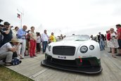 Goodwood Festival of Speed