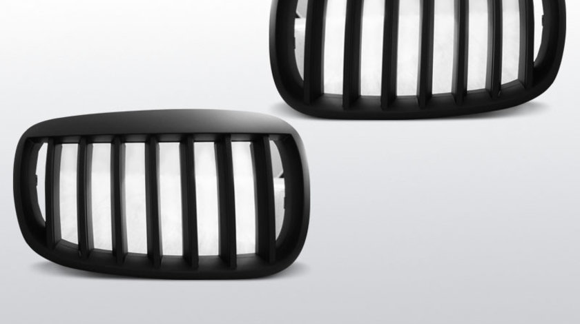 Grila ABS BMW X5 E70 X6 E71 2008- negru