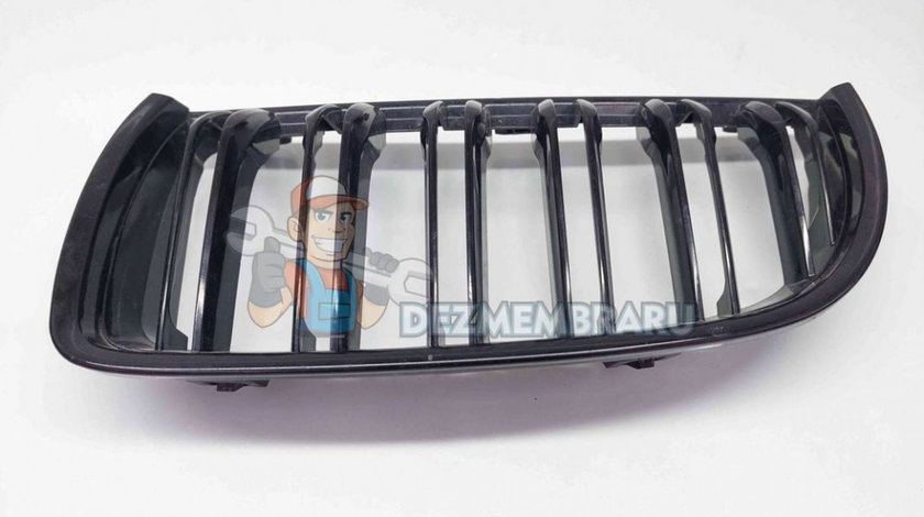 Grila bara fata Bmw 3 Touring (E91) [Fabr 2005-2011] OEM