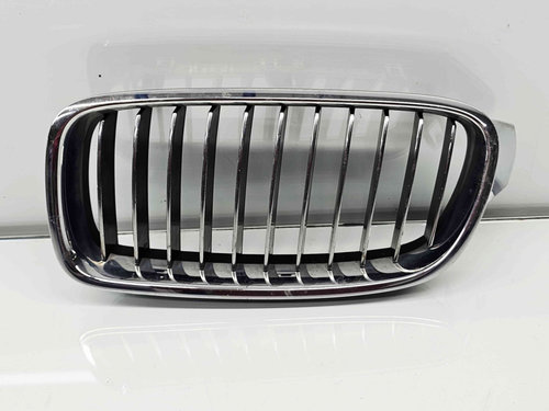 Grila bara fata Bmw 3 Touring (F31) [Fabr 2012-2017]