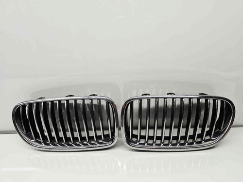 Grila bara fata Bmw 5 (F10) [Fabr 2011-2016]
