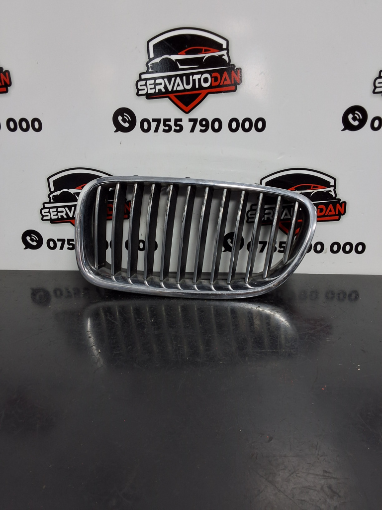 Grila bara fata BMW Seria 5 (2010-2017) [F10] 2.0 Motorina 2012, STANGA / 7200727