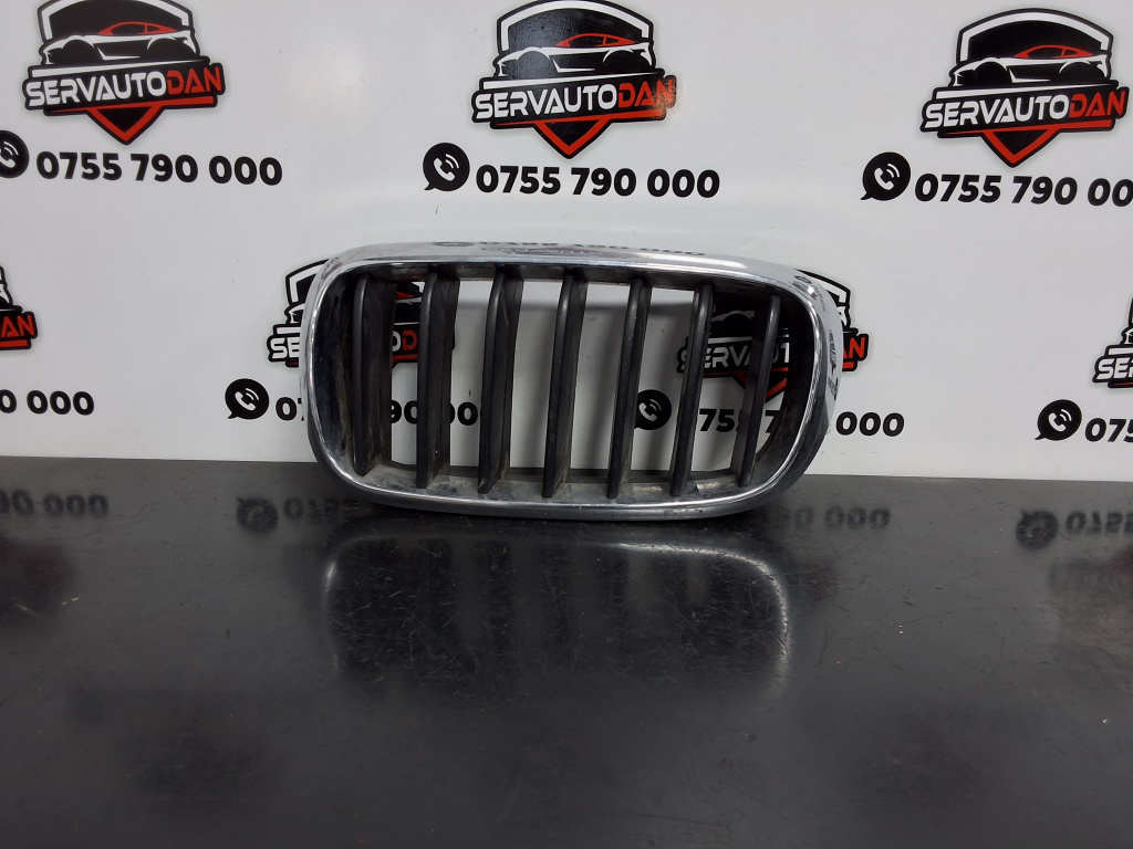 Grila bara fata BMW X5 (2012-2019) [F15] 3.0 Motorina 2015, 7316075 / STANGA