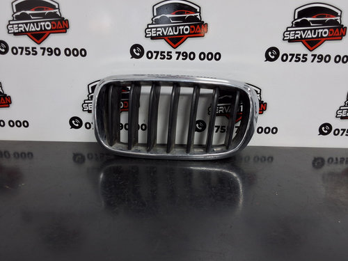 Grila bara fata BMW X5 (2012-2019) [F15] 3.0 Motorina 2015, 7316075 / STANGA