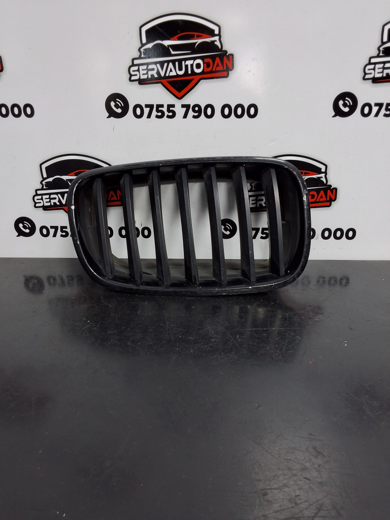 Grila bara fata BMW X6 (2008-2014) [E71, E72] 3.0 Motorina 2012, DREAPTA / 7157688
