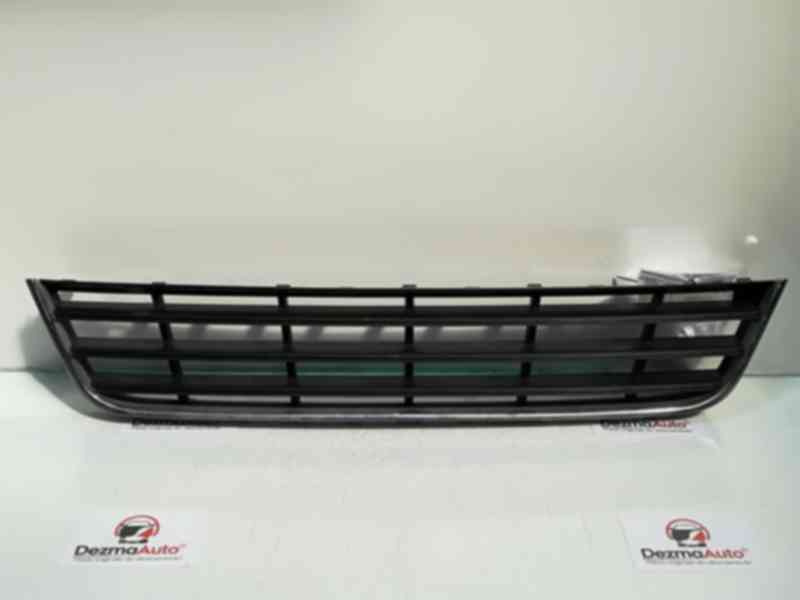 Grila bara fata centrala 3C0853677, Vw Passat Variant (3C5) (id:324911)