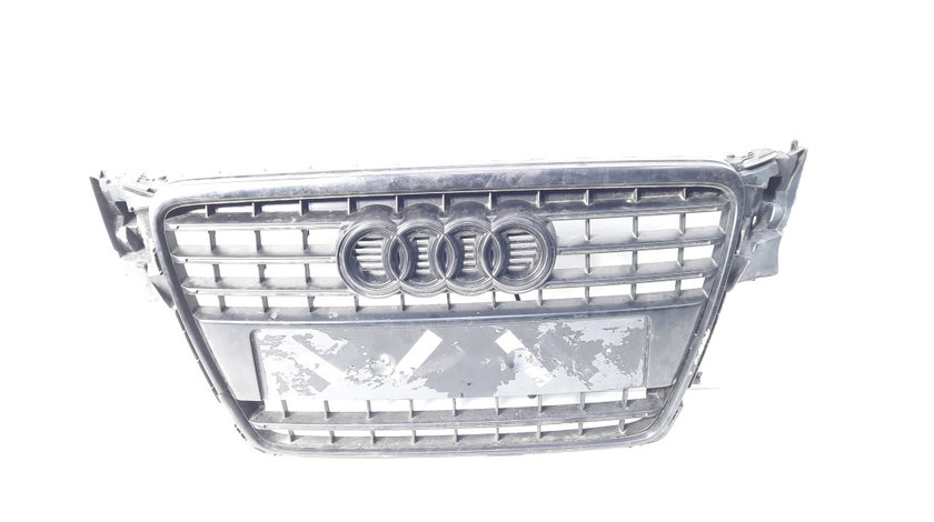 Grila bara fata centrala cu sigla, Audi A4 (8K2, B8) (id:584781)