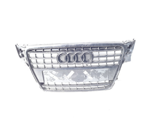 Grila bara fata centrala cu sigla, Audi A4 Allroad (8KH, B8) (idi:584781)