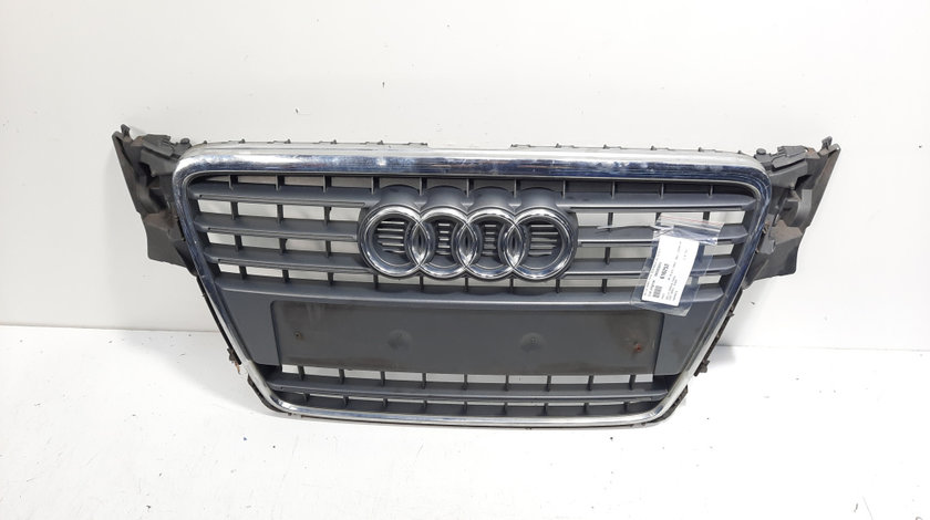 Grila bara fata centrala cu sigla, cod 8K0853651, Audi A4 Avant (8K5, B8) (id:616252)