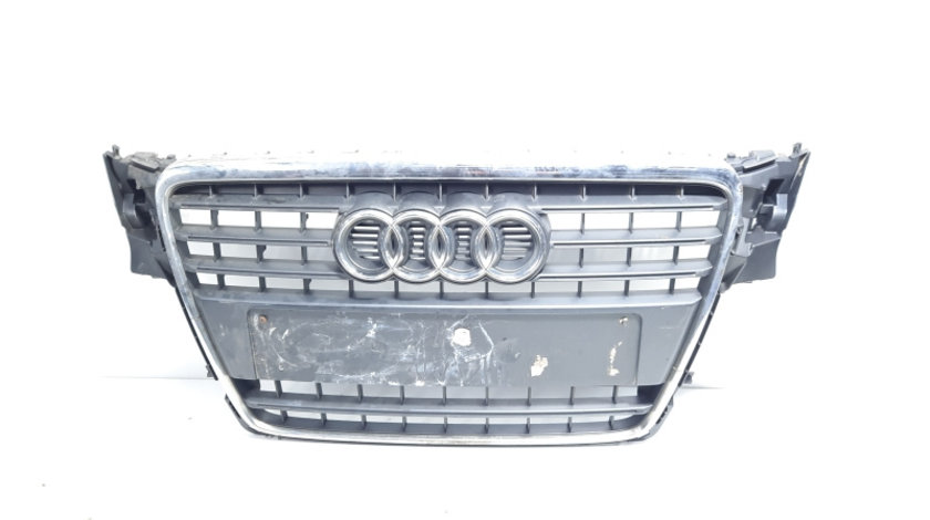 Grila bara fata centrala cu sigla, cod 8K0853651, Audi A4 Avant (8K5, B8) (idi:587429)