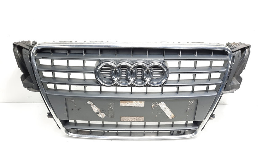 Grila bara fata centrala cu sigla, cod 8T0853651E, Audi A5 Cabriolet (8F7) (idi:493712)