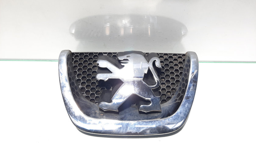 Grila bara fata centrala cu sigla, Peugeot 207 (WA) (id:448316)