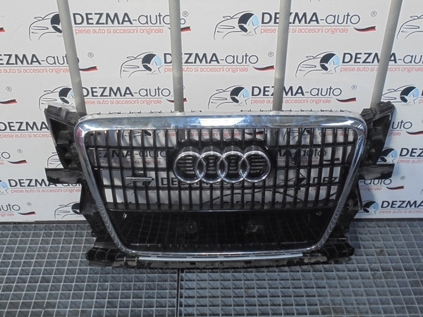 Grila bara fata centrala cu sigla si senzori, 8R0853651, Audi Q5 (8R)