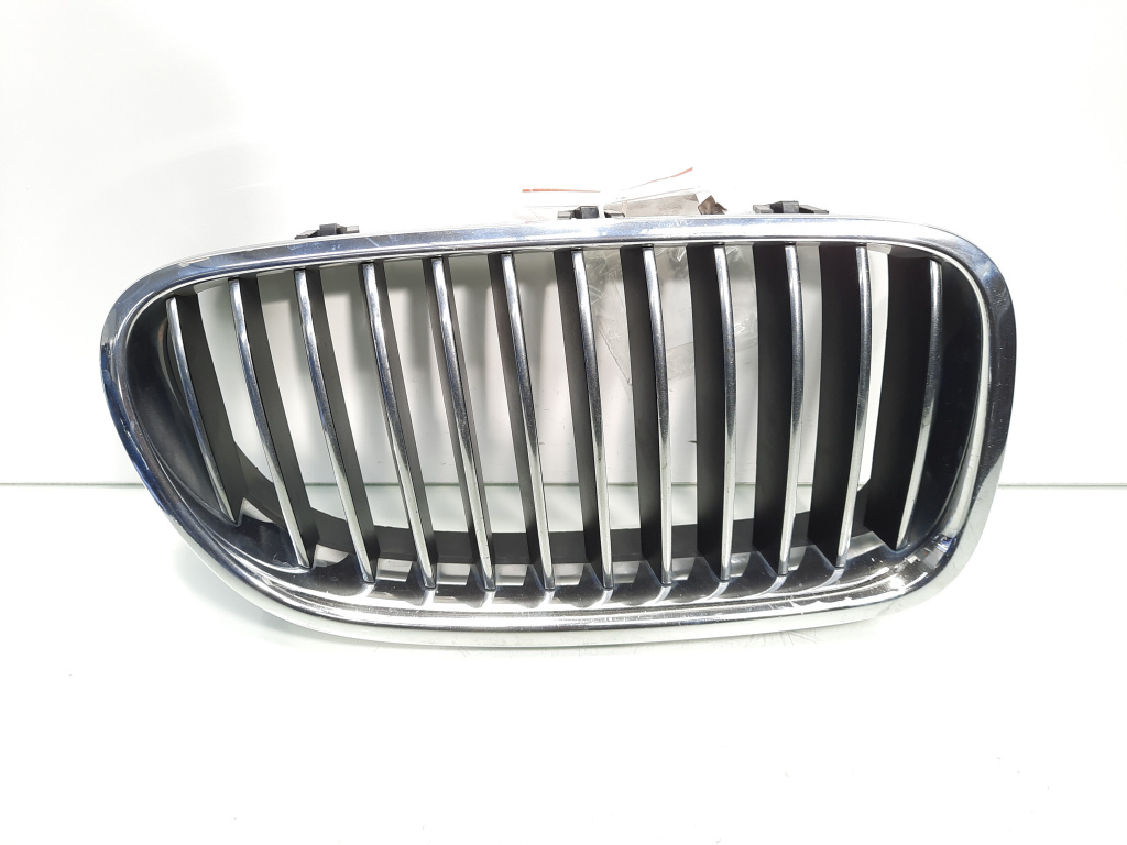 Grila bara fata centrala dreapta, Bmw 5 (F10) (id:556405)
