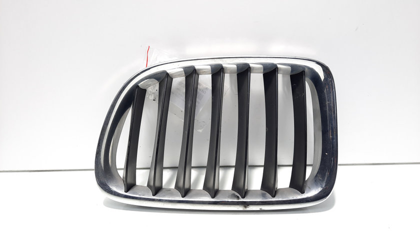 Grila bara fata centrala dreapta, cod 2993308, Bmw X1 (E84) facelift (id:593090)