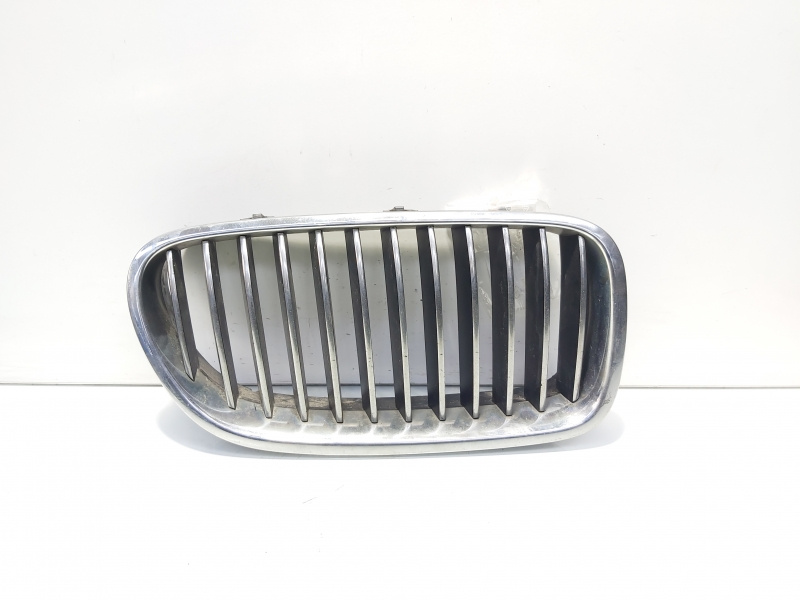 Grila bara fata centrala dreapta, cod 7200728, Bmw 5 (F10) (id:639145)