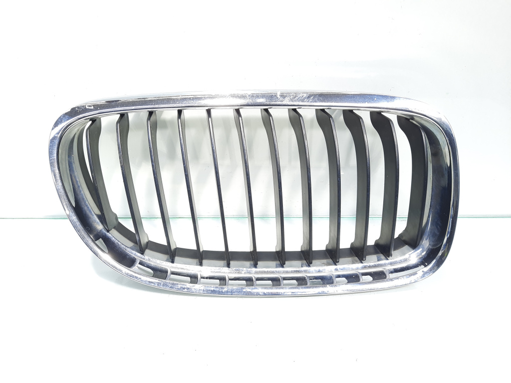 Grila bara fata centrala dreapta, cod 7201968, Bmw 3 (E90) (id:465463)