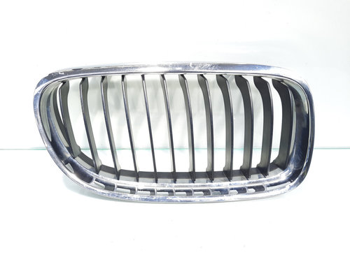 Grila bara fata centrala dreapta, cod 7201968, Bmw 3 (E90) (id:465463)