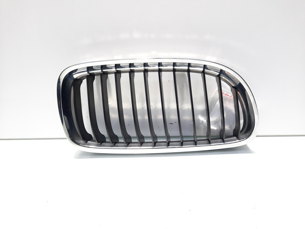 Grila bara fata centrala dreapta, cod 7201968, Bmw 3 (E90) facelift (id:558474)
