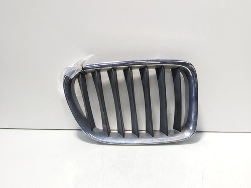 Grila bara fata centrala dreapta sus, Bmw X1 (E84) (id:701883)