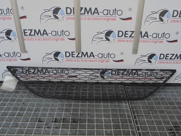 Grila bara fata centrala Seat Ibiza 5 (6J5) Seat Ibiza 5 (6J5) (id:257803)