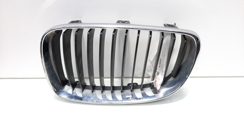 Grila bara fata centrala stanga sus, Bmw 1 (E81, E87) facelift (id:573952)