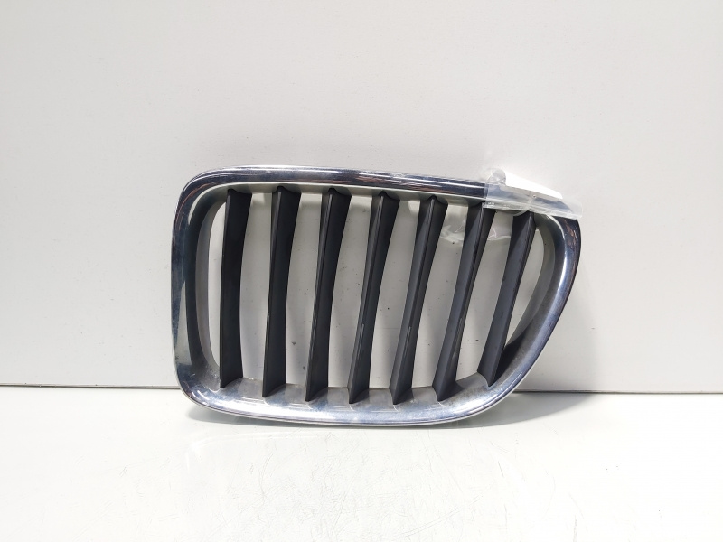 Grila bara fata centrala stanga sus, Bmw X1 (E84) (id:701882)