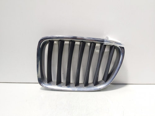 Grila bara fata centrala stanga sus, Bmw X1 (E84) (id:701882)