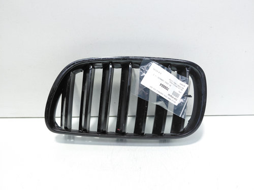 Grila bara fata centrala stanga sus, Bmw X3 (E83) (id:706664)