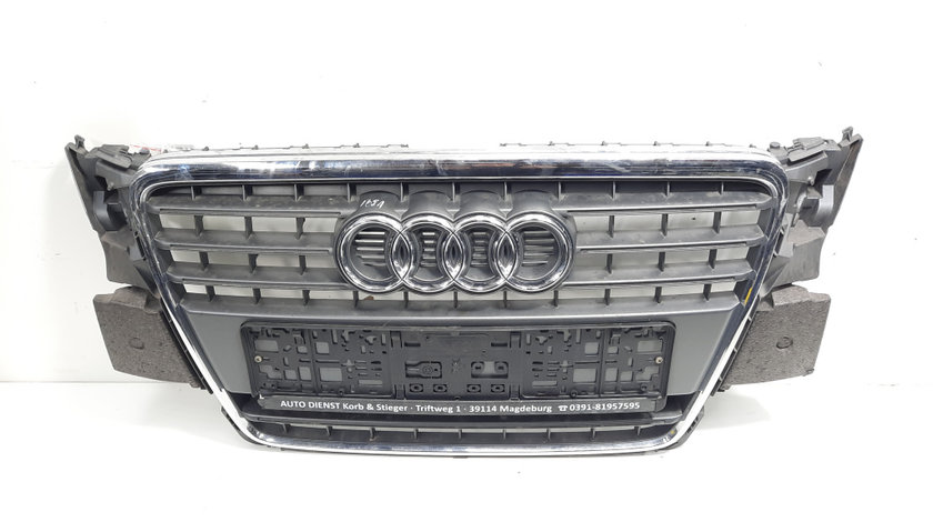 Grila bara fata centrala sus cu sigla, Audi A4 Avant (8K5, B8) (id:555870)