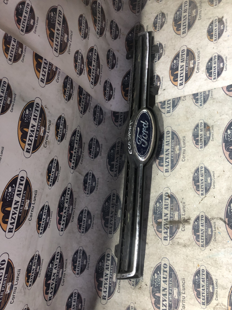 Grila bara fata Ford Ecosport 2015