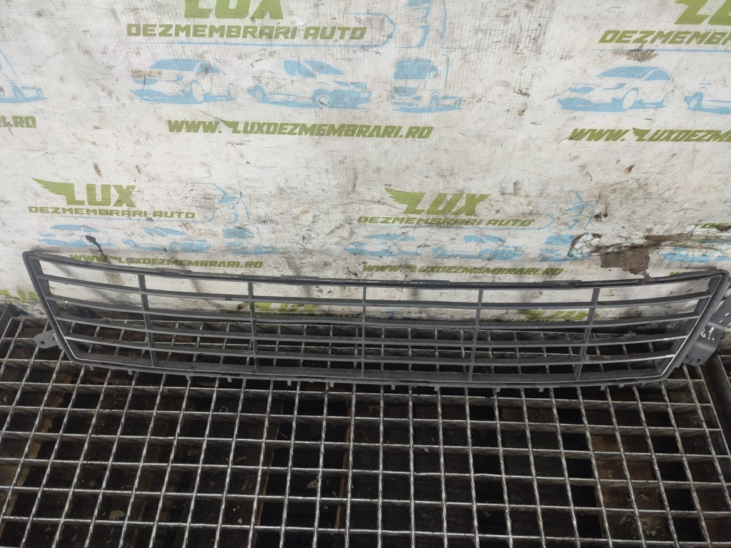 Grila bara fata Ford S-Max [2006 - 2010] 2.0 tdci QXWA