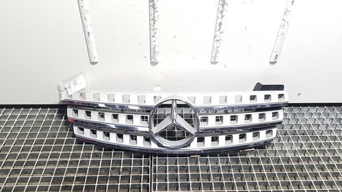 Grila bara fata, Mercedes Clasa ML (W164) (pr:110747)
