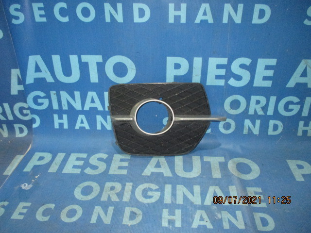Grila bara protectie BMW E71 X6; 7188384