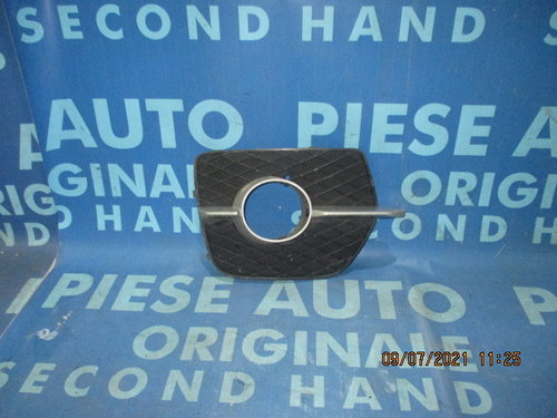 Grila bara protectie BMW E71 X6; 7188384