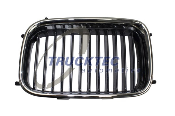 Grila BM0142114 PRASCO pentru Bmw Seria 3 ⭐⭐⭐⭐⭐