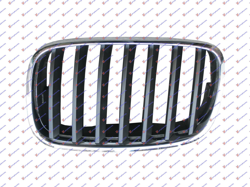 Grila - Bmw X5 (E70) 2007 , 51137157687