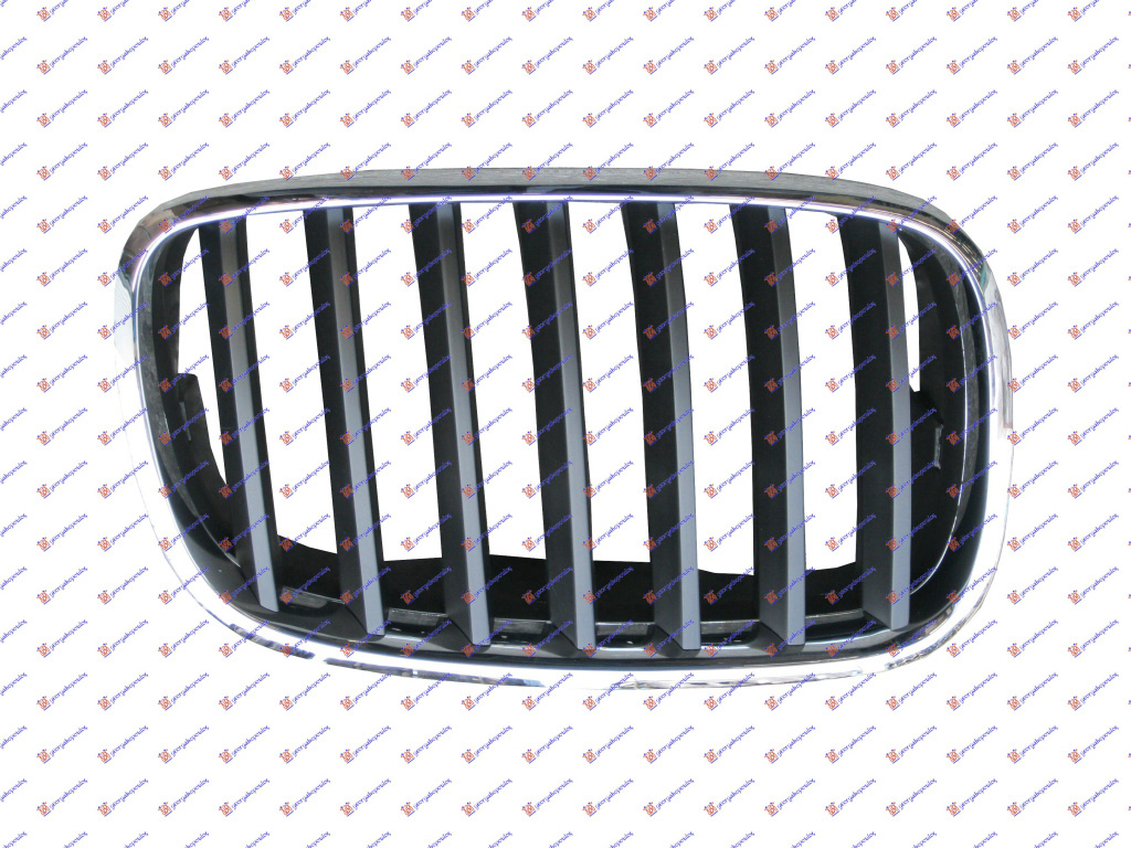 Grila - Bmw X5 (E70) 2007 , 51137157688