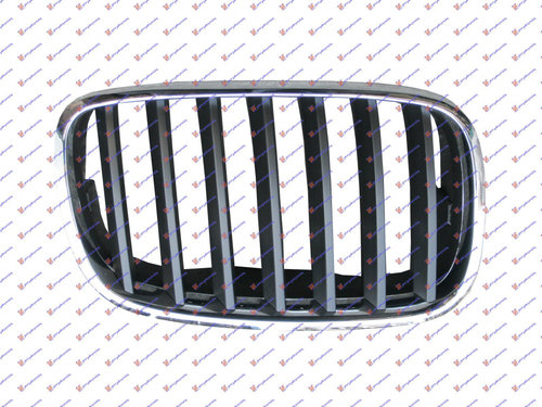 Grila - Bmw X5 (E70) 2007 , 51137157688